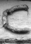The Letter c_9- Toronto - Black & White
