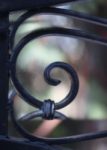 The Letter g_1 - Color