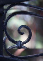 The Letter g_1 - Color