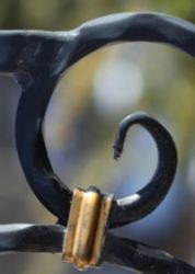 The Letter g_6 - Color