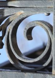 The Letter g_8 - Color