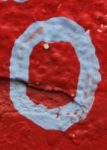 The Letter o_14 - Color