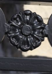 The Letter o_5 - Color