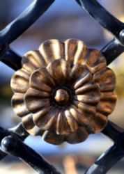 The Letter o_9 - Color