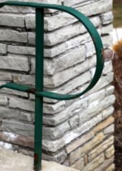 The Letter p_5 - Color