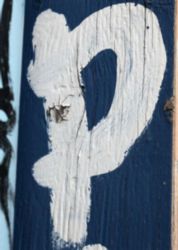 The Letter p_7 - Color