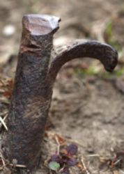 The Letter r_9 - Color