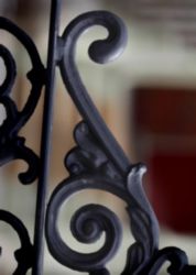 The Letter s_11 - Color