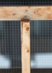 The Letter t_13 - Color