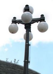 The Letter t_3 - Color