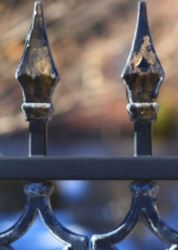 The Letter u_5 - Color