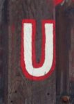 The Letter u_6 - Color