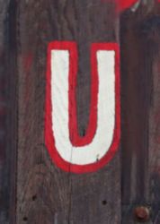 The Letter u_6 - Color
