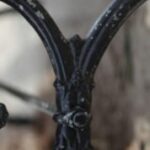 The Letter y_7 - Color