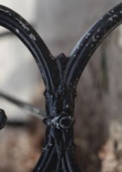 The Letter y_7 - Color