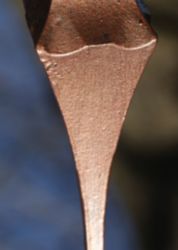 The Letter y_8 - Color