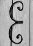 The Letter d_3- Toronto - Black & White