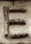 The Letter e_10 - Toronto - Sepia Tone