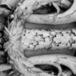 The Letter e_11 - London - Black & White