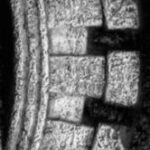 The Letter e_8 - London - Black & White