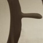 The Letter f_2 - London - Sepia Tone