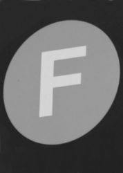 The Letter f_2 - NYC - Black & White