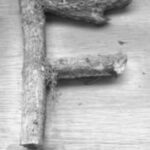 The Letter f_6- Toronto - Black & White