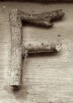 The Letter f_6 - Toronto - Sepia Tone