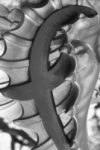 The Letter f_7 - London - Black & White