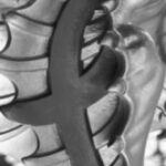 The Letter f_7 - London - Black & White