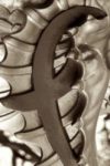 The Letter f_7 - London - Sepia Tone