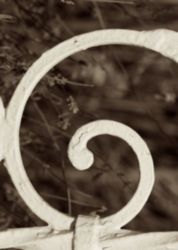 The Letter g_7 - Toronto - Sepia Tone