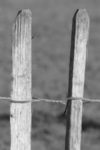 The Letter h_10 - London - Black & White