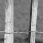 The Letter h_10 - London - Black & White