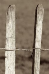 The Letter h_10 - London - Sepia Tone