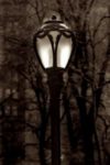 The Letter l_11 - NYC - Sepia Tone