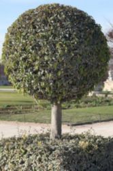 The Letter i_12 - PARIS - Color