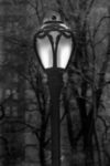The Letter i_13 - NYC - Black & White