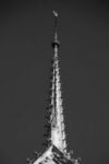The Letter i_1 - PARIS - Black & White