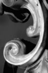 The Letter j_4 - London - Black & White