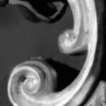 The Letter j_4 - London - Black & White
