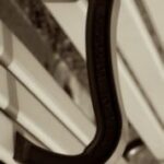 The Letter j_7 - Toronto - Sepia Tone