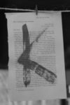 The Letter k_4 - London - Black & White