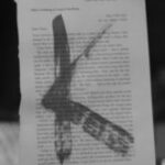 The Letter k_4 - London - Black & White