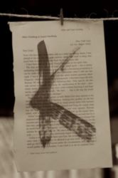 The Letter k_4 - London - Sepia Tone