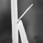 The Letter k_5 - London - Black & White