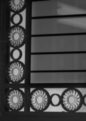 The Letter  ll_1 - NYC - Black & White