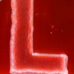 The Letter ll_25 - London - Color