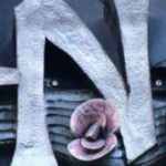 The Letter n_8 - London - Color