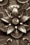 The Letter o_12 - PARIS - Sepia Tone